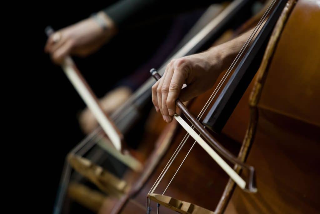 Advanced double bass lessons Balmain